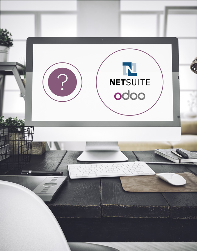Binqiyun vs NetSuite
