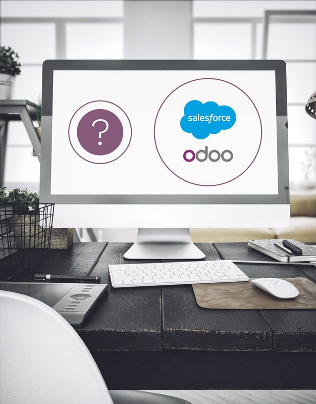 Binqiyun vs Salesforce