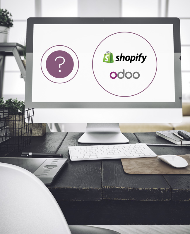 Binqiyun vs Shopify