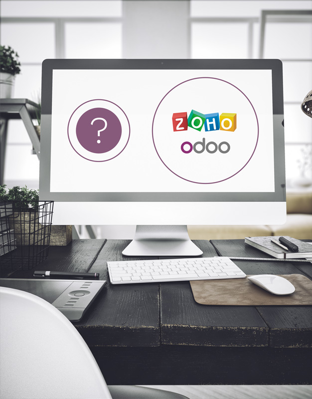 Binqiyun vs Zoho CRM